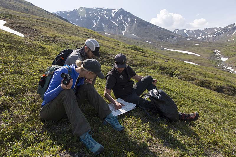 hikers looking at a map