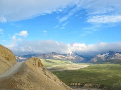 Cyclists enjoy the view in Denali.