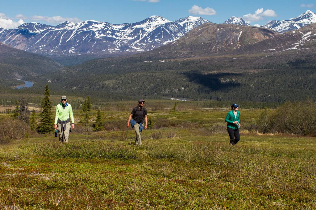 Hiking with their guide.